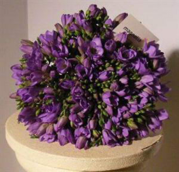 Buchet cu 101 frezii mov – imaginea 1