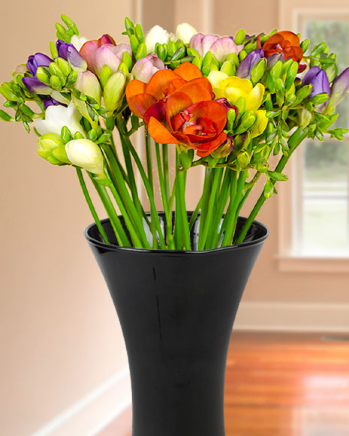 Buchet cu 35 frezii colorate cu o fundiţă din organza – imaginea 1