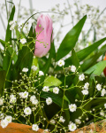 Buchet 5 lalele cu gypsophilla, chico şi beargrass