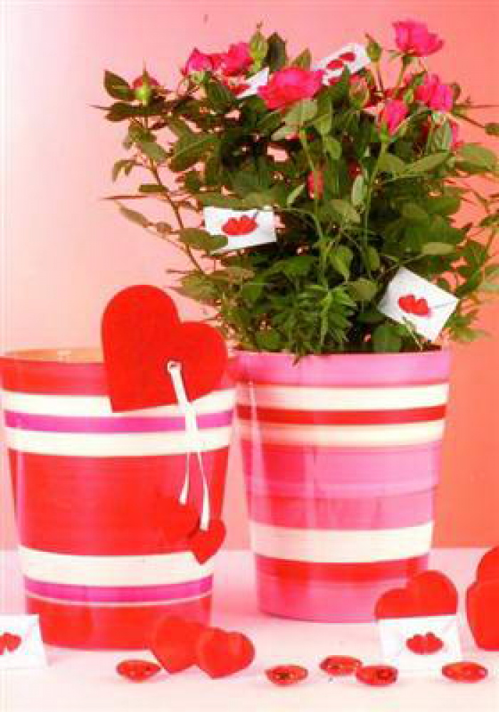 Mini rose plant in a decorative pot – imaginea 1