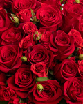 ”Glamour” rose bouquet – imaginea 2