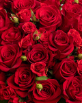 ”Glamour” rose bouquet – the image 2