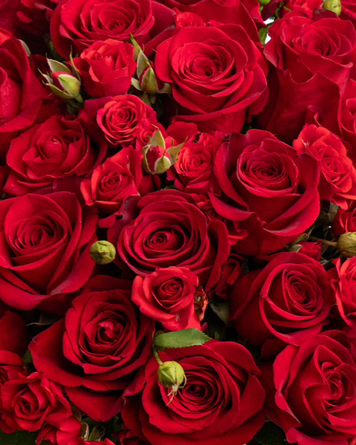 ”Glamour” rose bouquet – the image 2