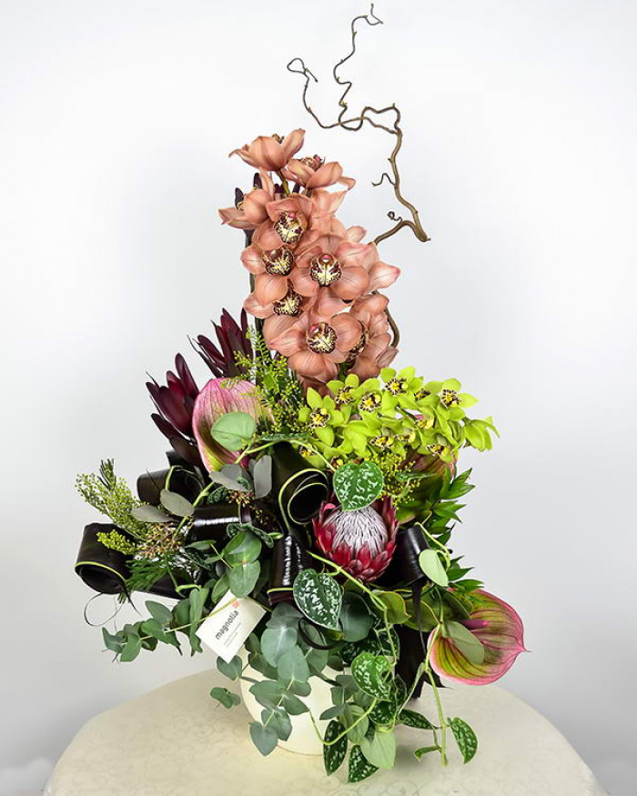 Aranjament cymbidium, anthurium şi protea – imaginea 1