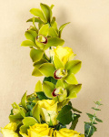 Buchet 14 trandafiri galbeni şi cymbidium – imaginea 3