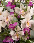 Bouquet with cymbidium orchids and freesias – the image 2