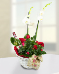 Arrangement with wine for ladies – imaginea 1