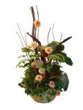 Arrangement with plant mix, calathea and dried flowers – imaginea 1