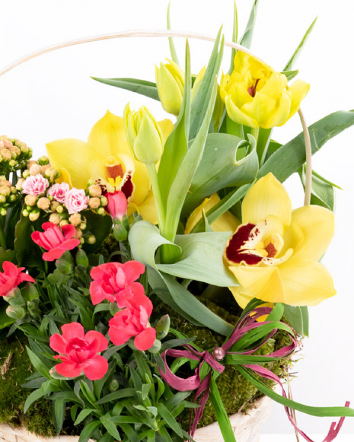 Mix arrangement with plants – imaginea 2