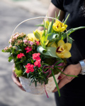 Mix arrangement with plants – imaginea 3