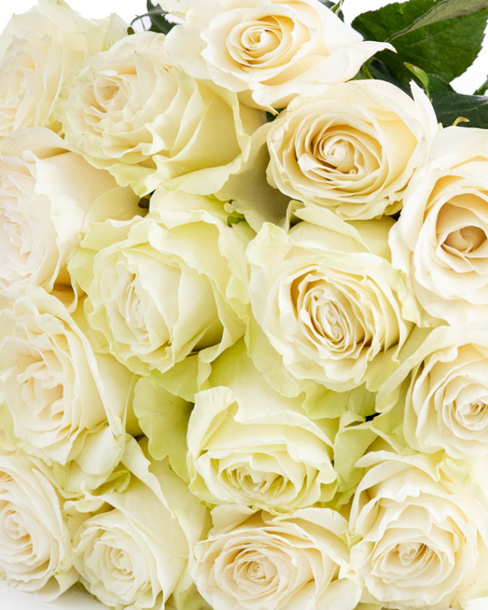 Buchet trandafiri albi „Timeless” – imaginea 2