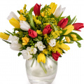 Buchet frezii şi lalele multicolore