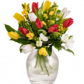 Buchet frezii şi lalele multicolore