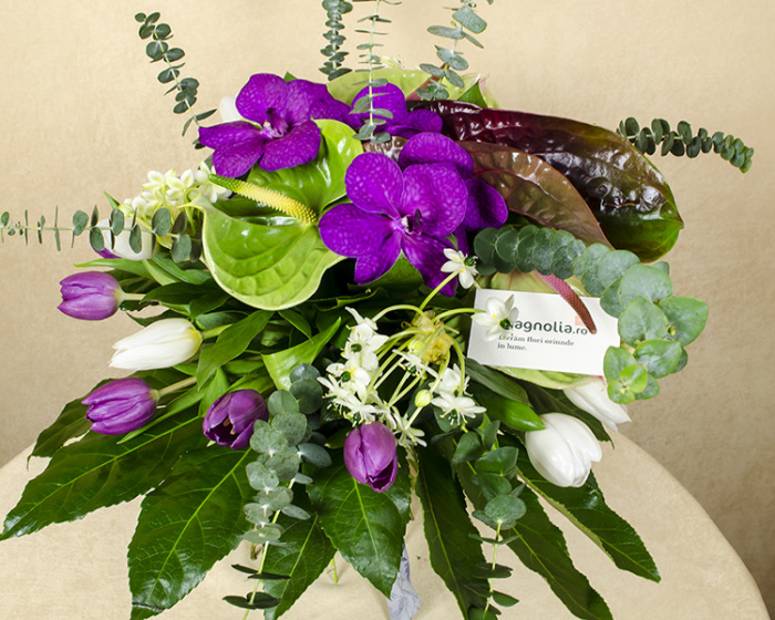 Buchet lalele, orhidee, brunia şi anthurium – imaginea 3
