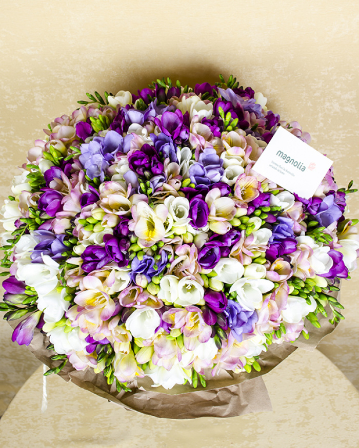 Buchet 209 frezii colorate – imaginea 3