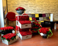 500 Red roses arrangement – imaginea 2