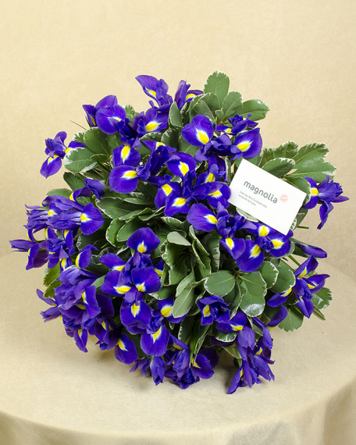 Buchet iriși și pittosporum – imaginea 2