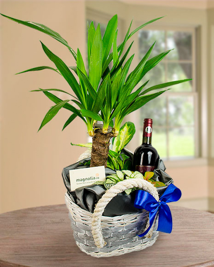 Aranjament plante mix și o sticlă de vin roșu