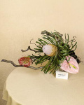Aranjament Banskia, Leucospemum, Anthurium și Coryllus