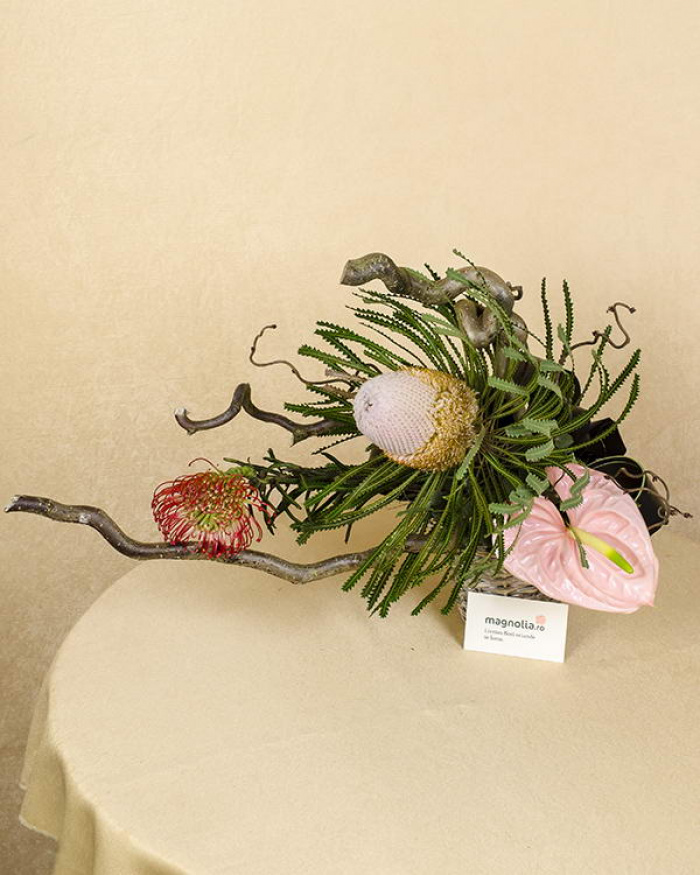 Aranjament Banskia, Leucospemum, Anthurium și Coryllus