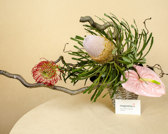 Aranjament Banskia, Leucospemum, Anthurium și Coryllus – imaginea 4
