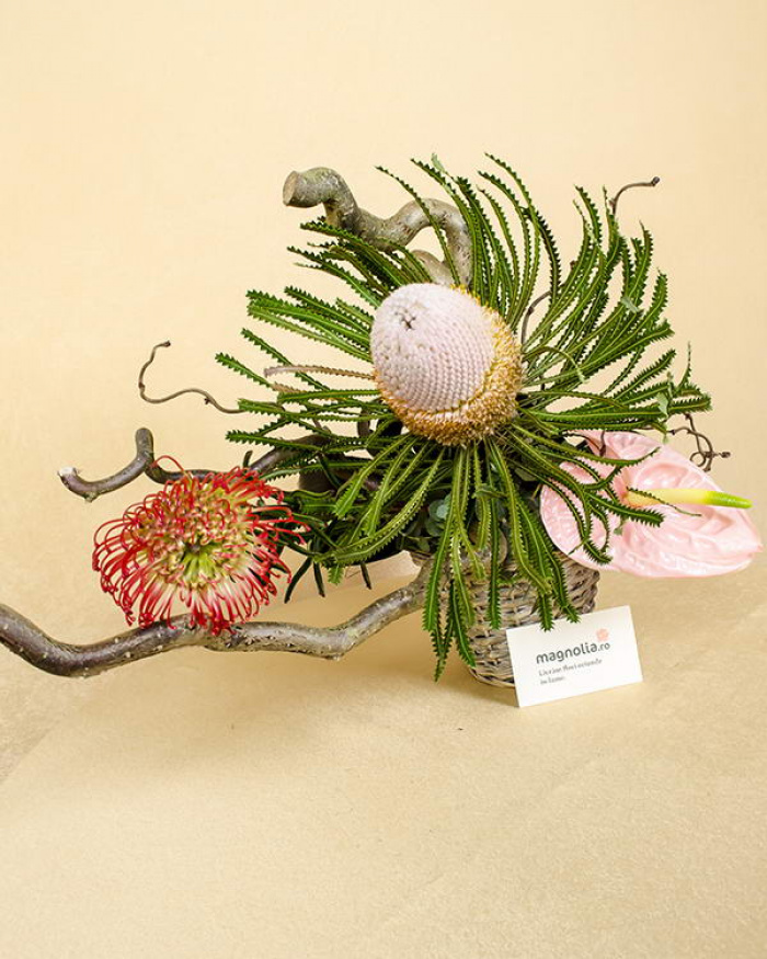 Aranjament Banskia, Leucospemum, Anthurium și Coryllus