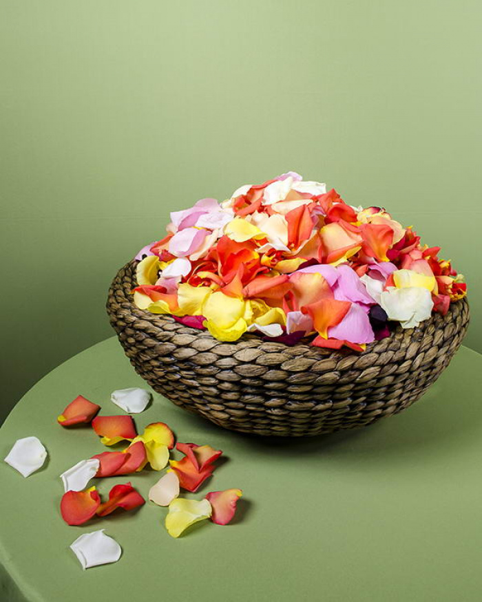 Roses petals – imaginea 1