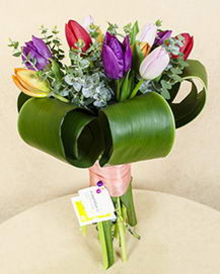 Buquet with 11 colored tulips, Aspidistra curls and eucalyptus  – imaginea 1