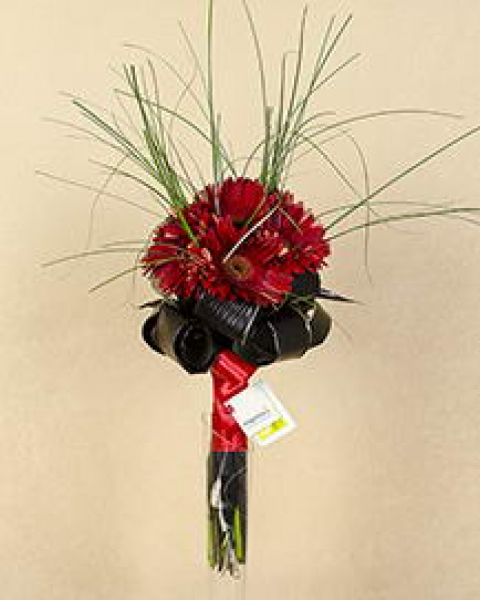 Buchet gerbera roşie – imaginea 1