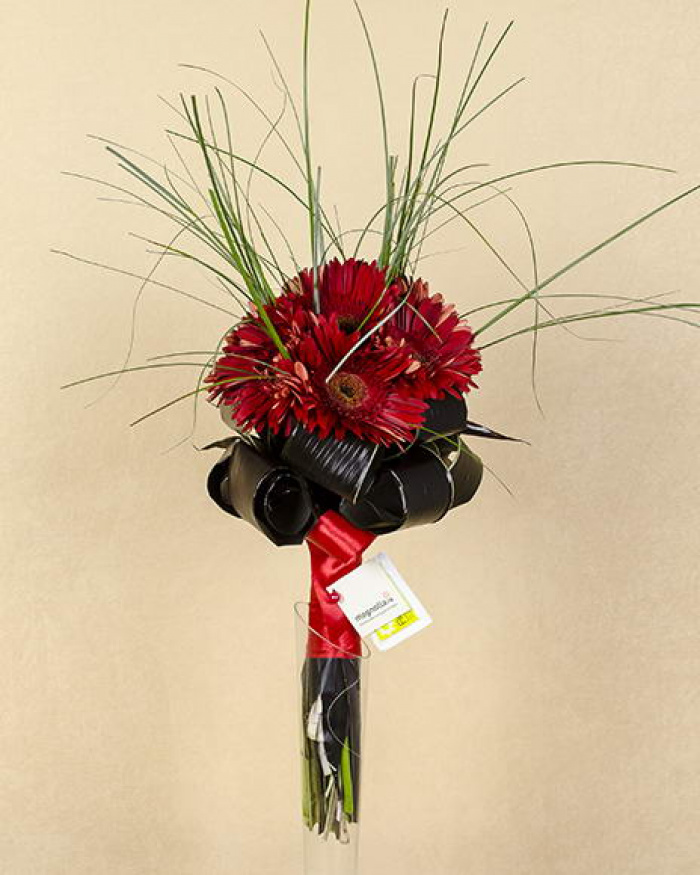 Buchet gerbera roşie – imaginea 2