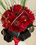 Buchet gerbera roşie – imaginea 3