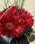 Buchet gerbera roşie – imaginea 4