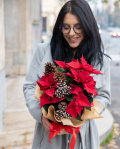 Christmas Star arrangement