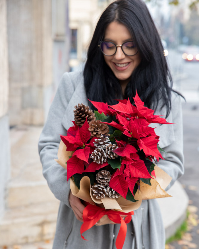 Christmas Star arrangement