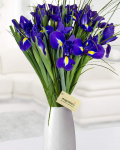 Buchet 19 irişi