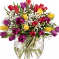 Buchet lalele şi gypsophila