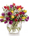 Tulips and gypsophilla bouquet