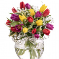 Buchet lalele şi gypsophila