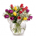 Buchet lalele şi gypsophila