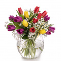 Buchet lalele şi gypsophila