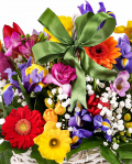 Cos cu irişi gerbera şi narcise – imaginea 2