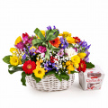 Cos cu irişi gerbera şi narcise