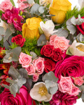 Spring Colorburst – imaginea 2