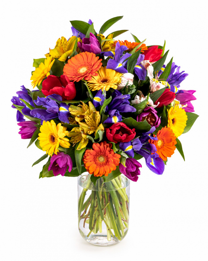 Carnival of Colors – the image 1