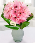 Buchet 15 gerbera – imaginea 1