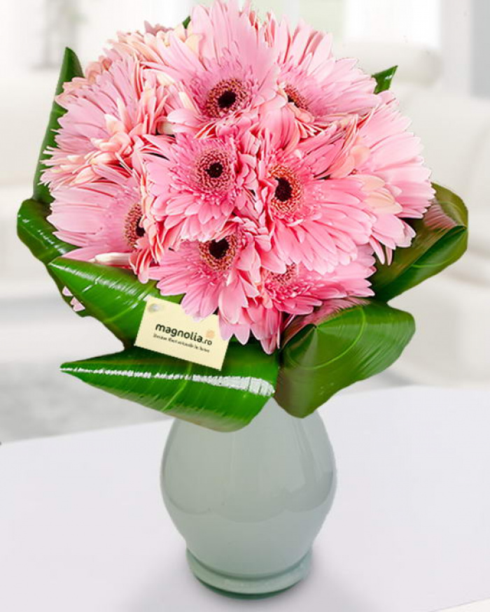 Buchet 15 gerbera – imaginea 1