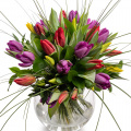 Buchet lalele mix