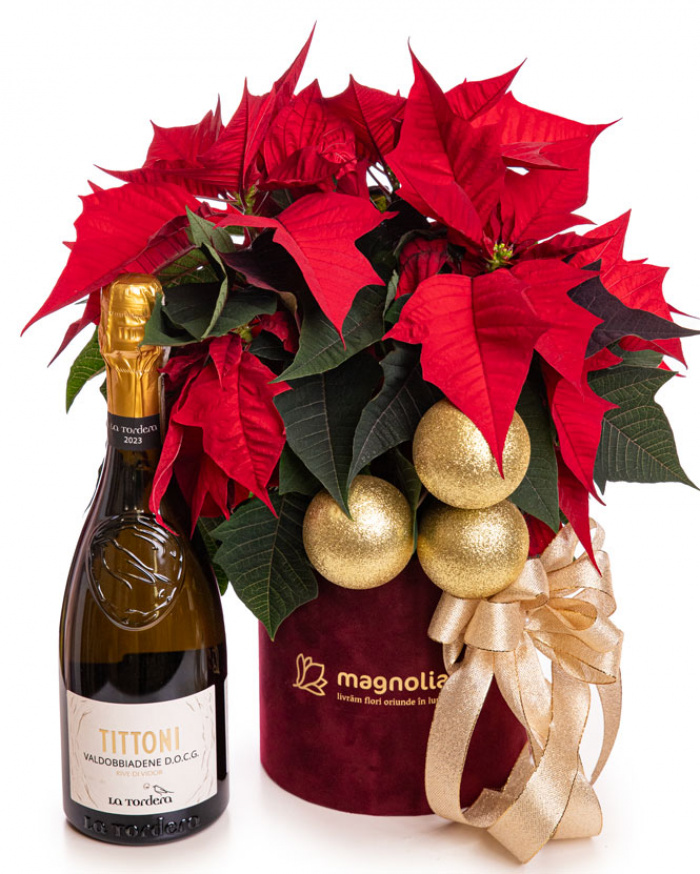 Gift for gentleman – imaginea 1