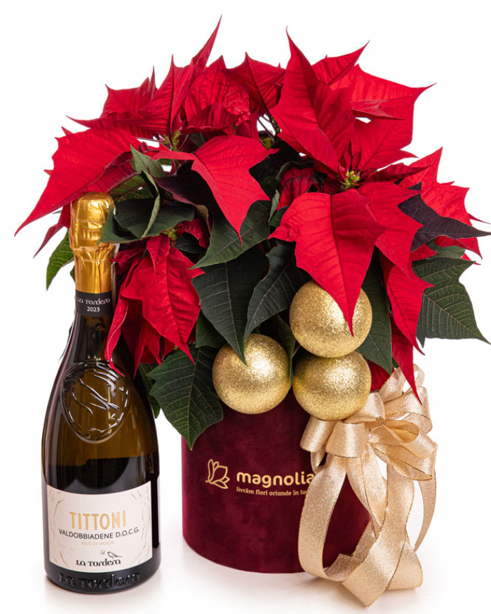Gift for gentleman – the image 1