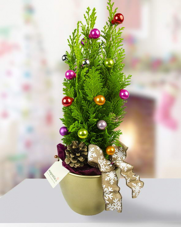 Fir with multicolored ornaments – imaginea 1